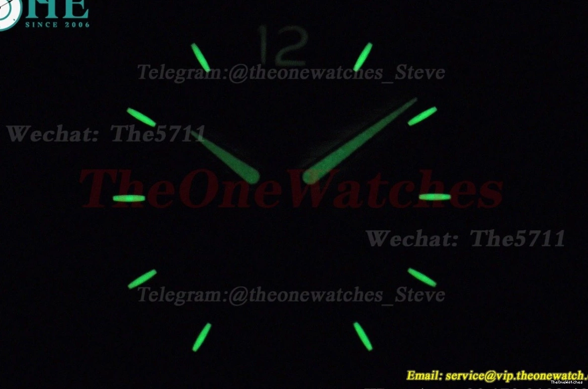 SS Nautilus MY8215 LE 40mm GDF White Dial 1219